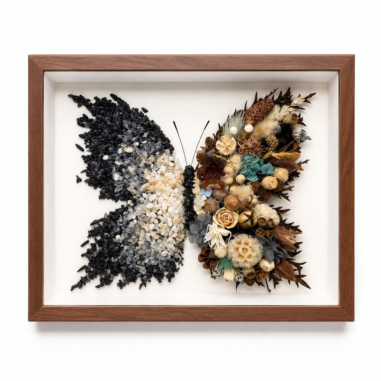 Azure Midnight Preserved Flower Butterfly Shadow Box