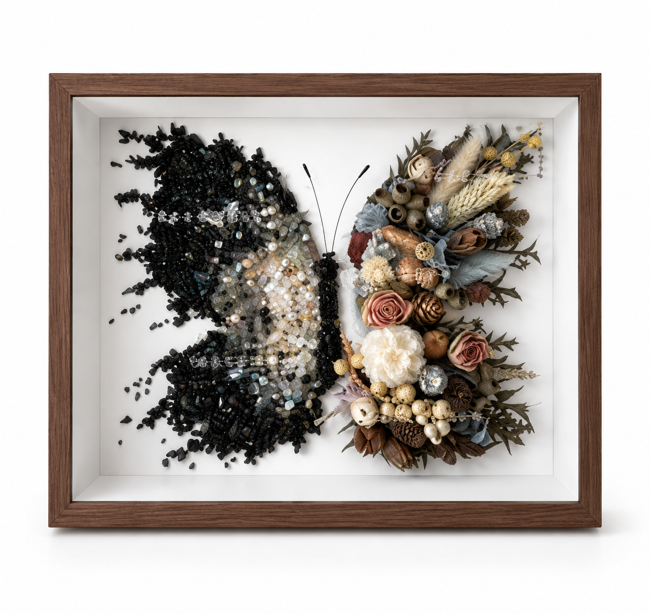 Azure Midnight Preserved Flower Butterfly Shadow Box
