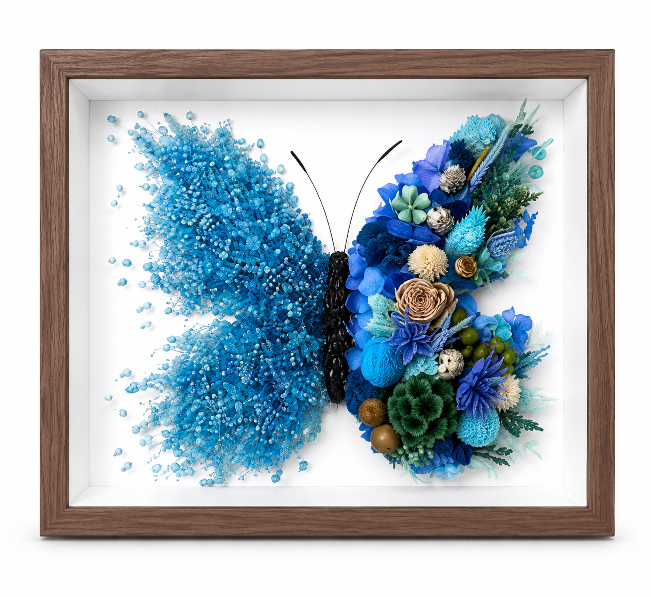 Azure Midnight Preserved Flower Butterfly Shadow Box