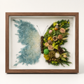 Azure Midnight Preserved Flower Butterfly Shadow Box
