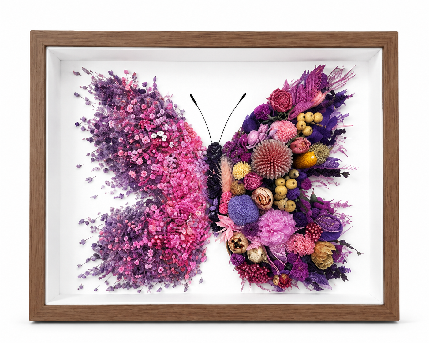 Azure Midnight Preserved Flower Butterfly Shadow Box