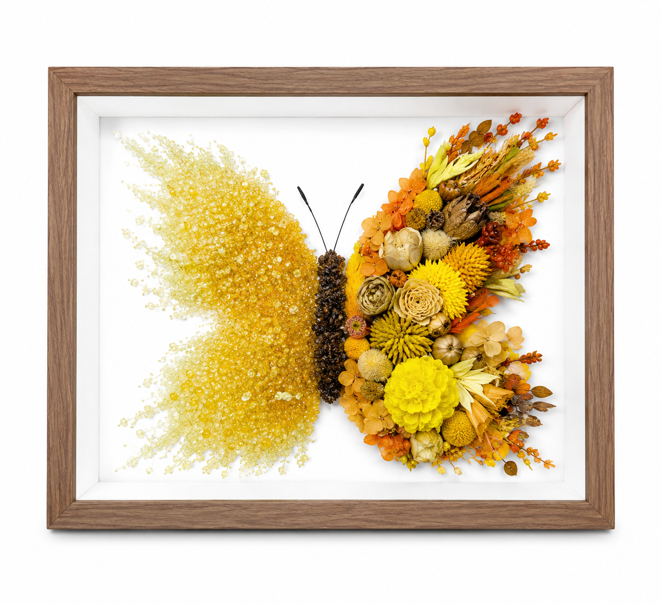 Azure Midnight Preserved Flower Butterfly Shadow Box