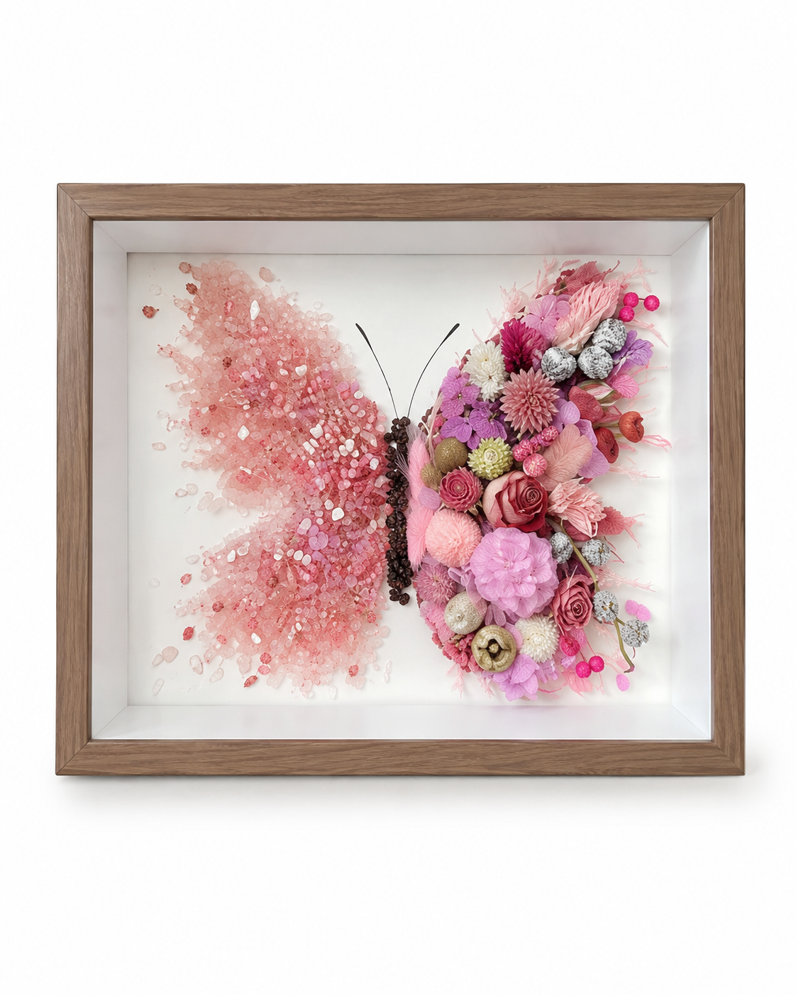Azure Midnight Preserved Flower Butterfly Shadow Box