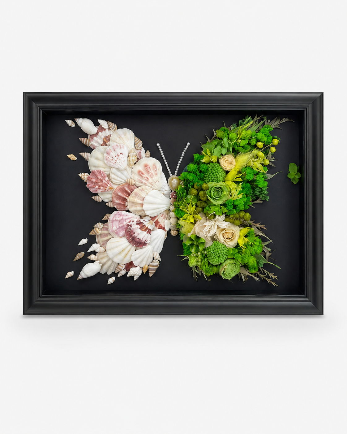 Azure Midnight Preserved Flower Butterfly Shadow Box