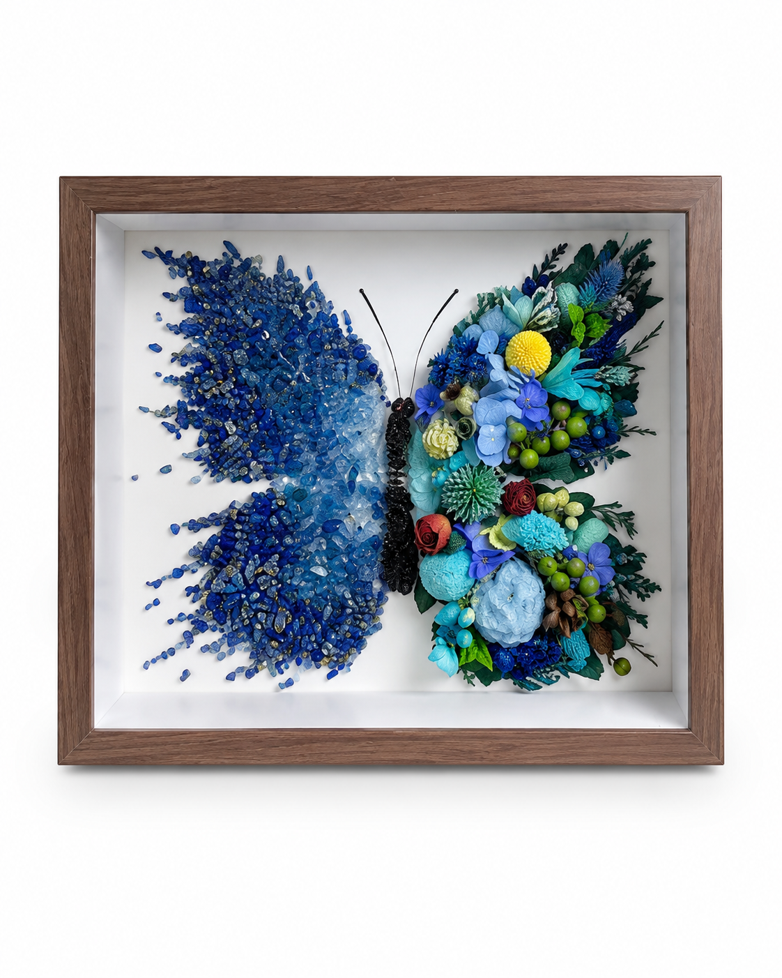Azure Midnight Preserved Flower Butterfly Shadow Box