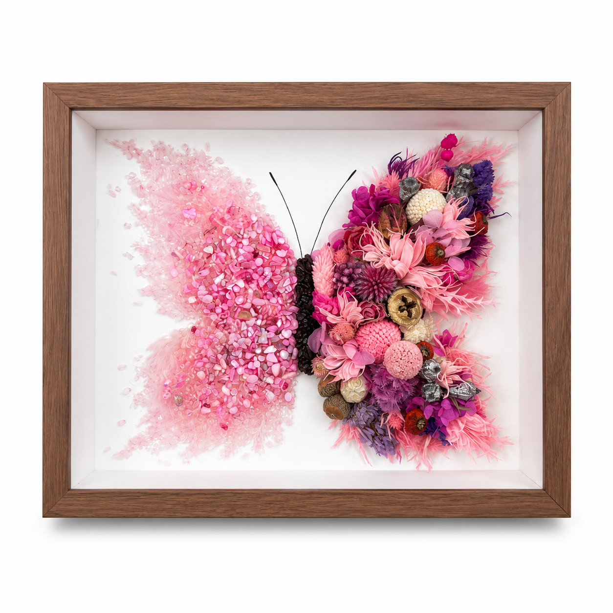 Azure Midnight Preserved Flower Butterfly Shadow Box