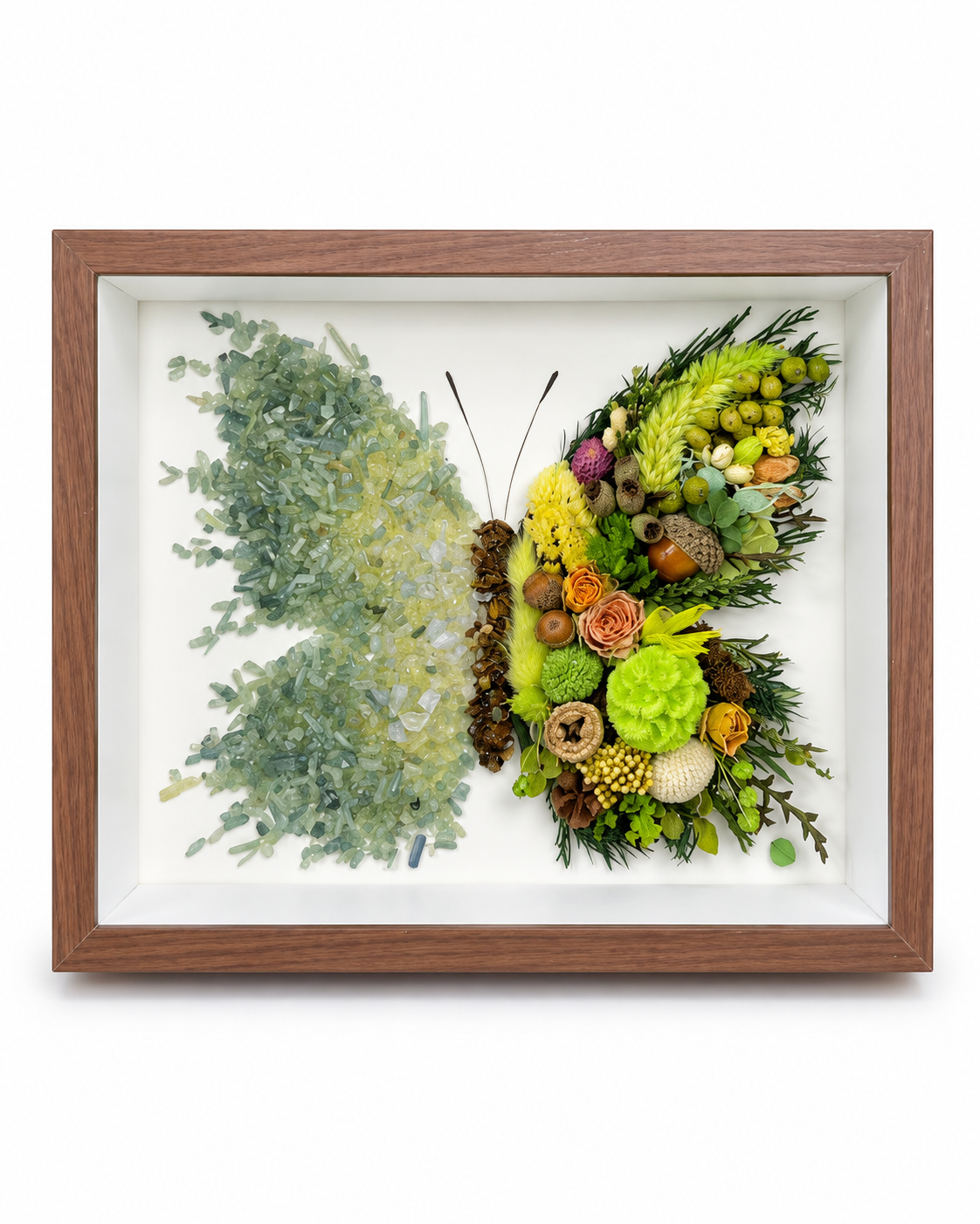 Azure Midnight Preserved Flower Butterfly Shadow Box