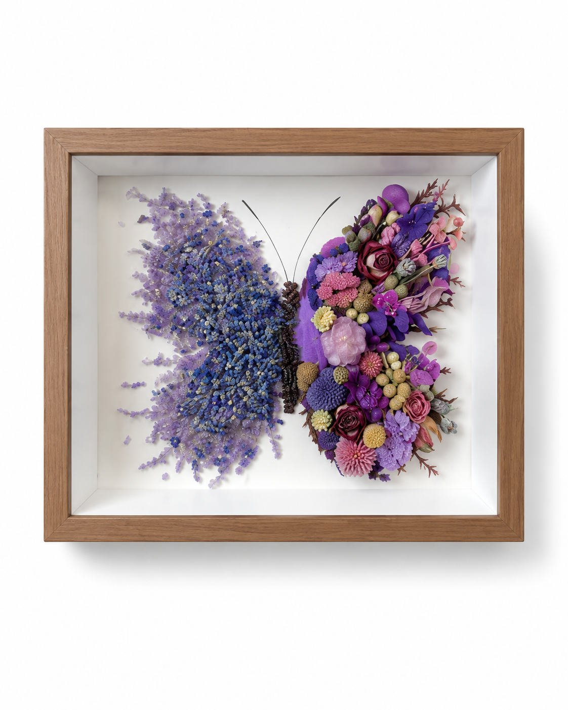 Azure Midnight Preserved Flower Butterfly Shadow Box