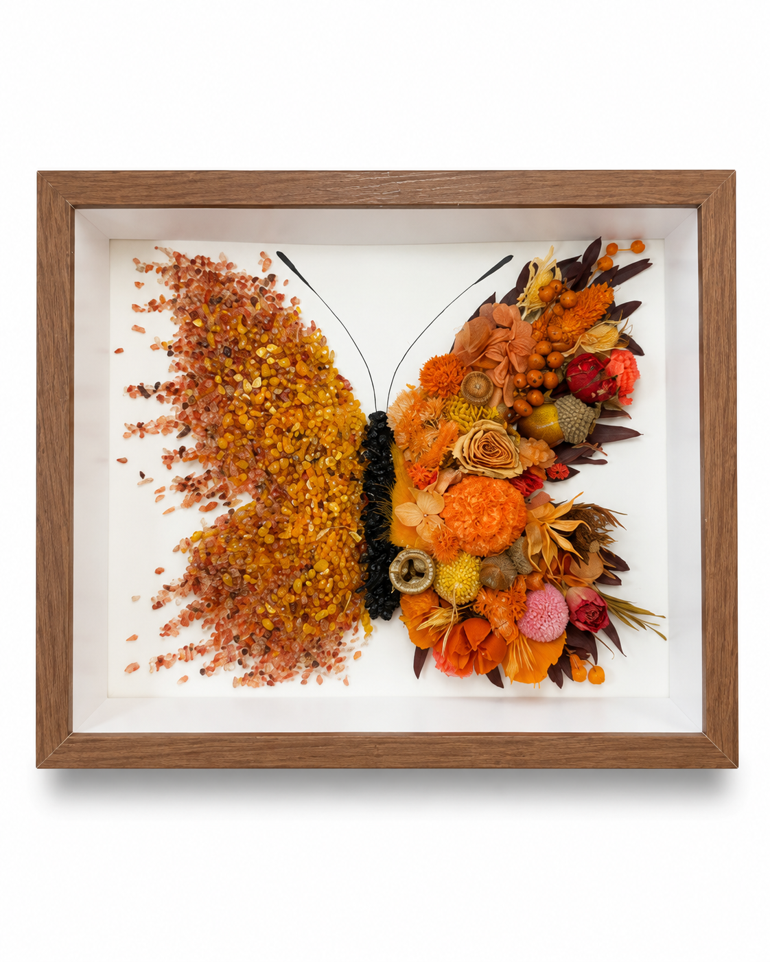 Azure Midnight Preserved Flower Butterfly Shadow Box
